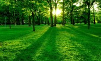 世界网球场馆现代化改造：提升观赛体验与功能性，网球场馆高度要多少