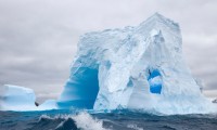 世界板球女子赛事发展潜力与市场分析，板球运动员virat kohli