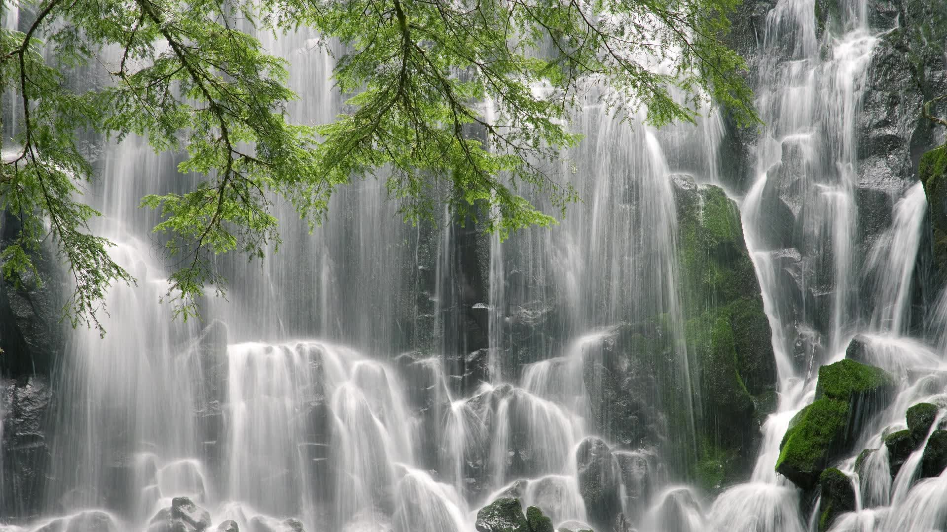 世界举重康复在线课堂季度评估报告与优秀课堂推介发布,世界举重冠军赛